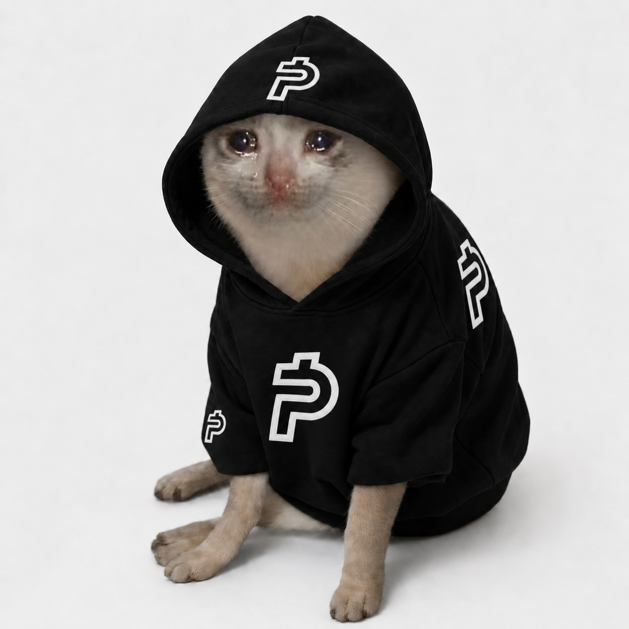 Paidcat in a black hoodie